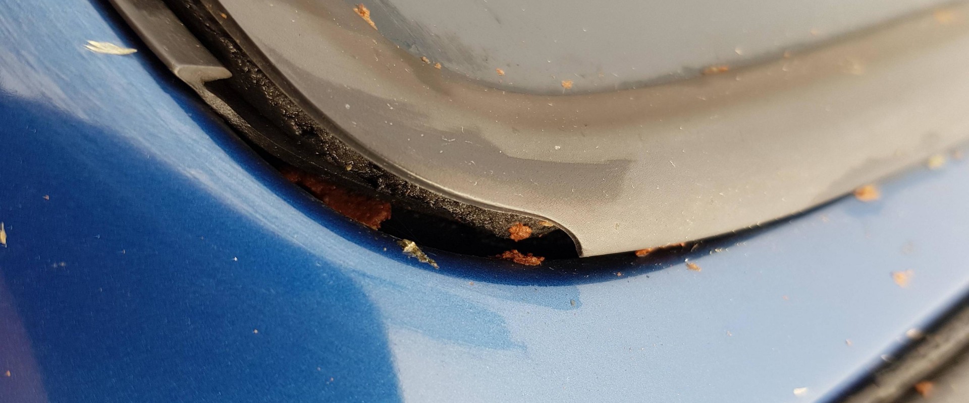 Windshield Sealants: DIY Tips and Techniques for Repair